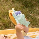 L'Hydravion de Mr Renard