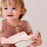 L'Hydravion de Mr Renard