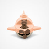 L'Hydravion de Mr Renard