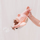 L'Hydravion de Mr Renard