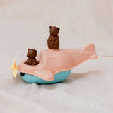 L'Hydravion de Petit Ours Brun