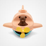 L'Hydravion de Petit Ours Brun