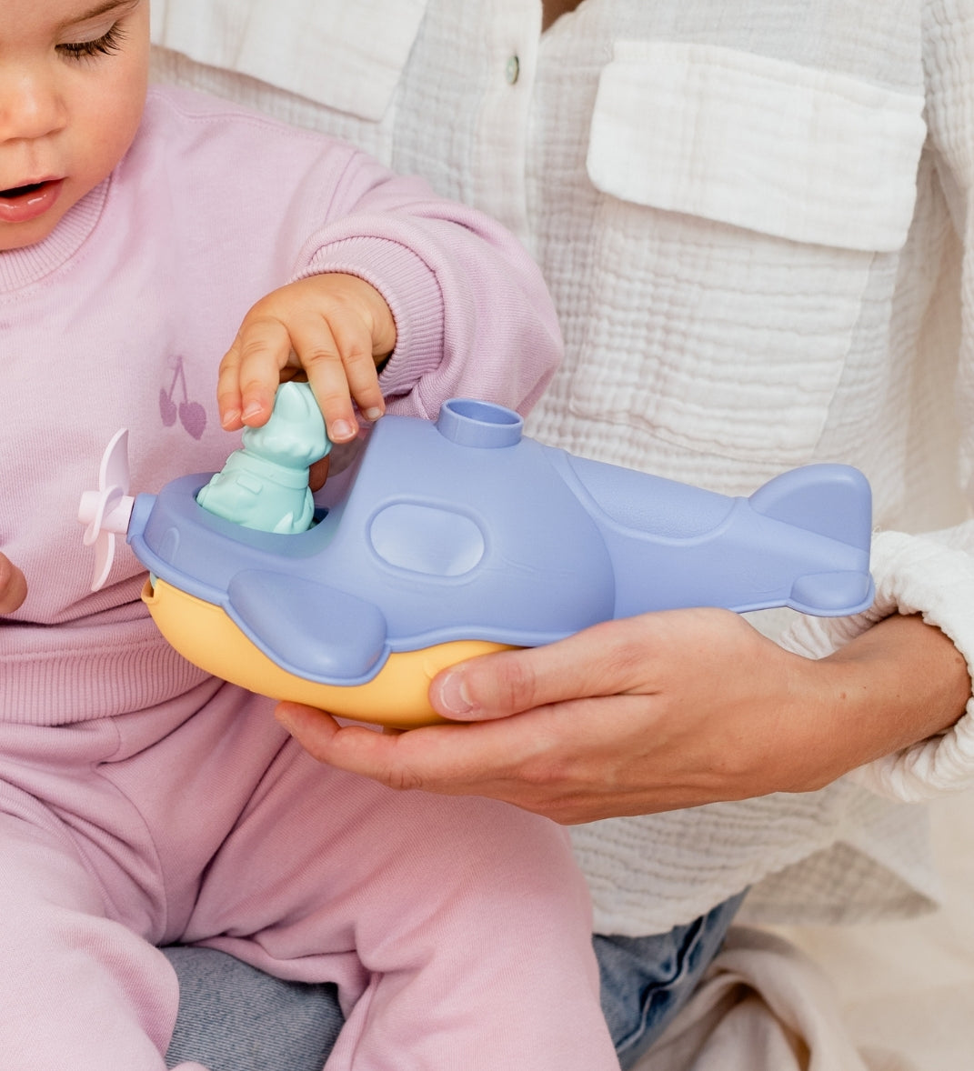 L'Hydravion de Mr Renard