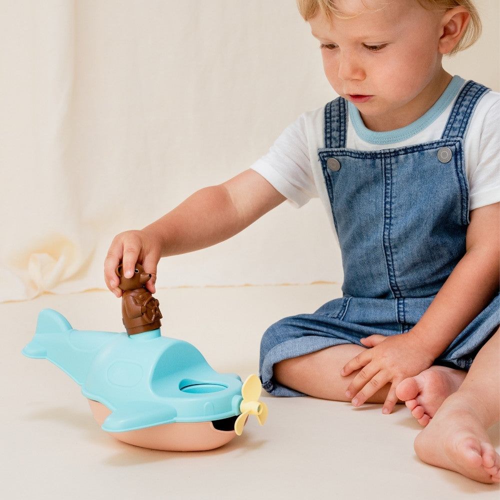 L'Hydravion de Petit Ours Brun
